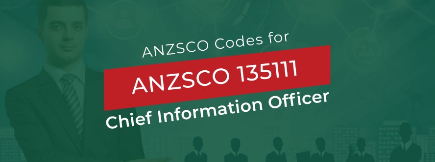 Chief Information Officer ANZSCO 135111